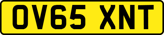 OV65XNT