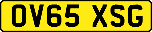 OV65XSG