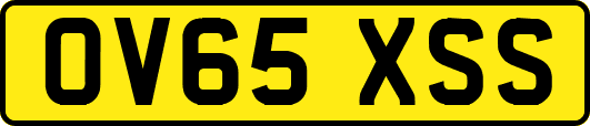 OV65XSS