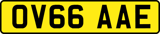 OV66AAE