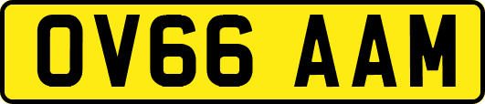 OV66AAM