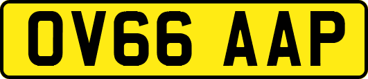 OV66AAP