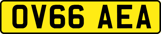 OV66AEA