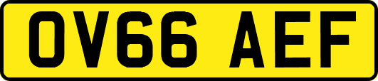 OV66AEF