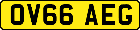 OV66AEG