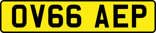 OV66AEP