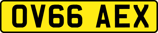 OV66AEX