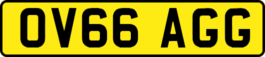 OV66AGG
