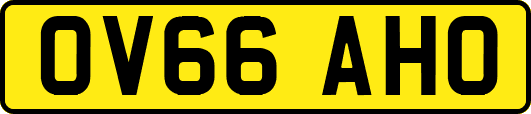 OV66AHO