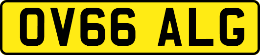 OV66ALG
