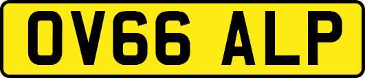 OV66ALP