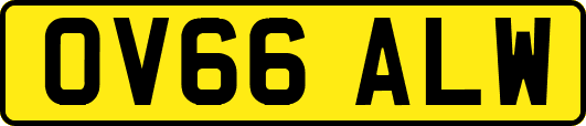 OV66ALW