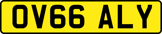 OV66ALY