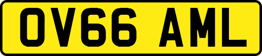 OV66AML