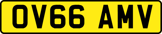 OV66AMV