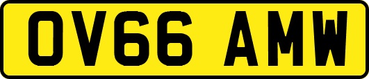 OV66AMW