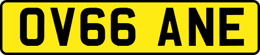 OV66ANE