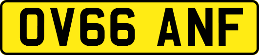 OV66ANF