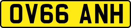 OV66ANH