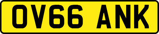 OV66ANK
