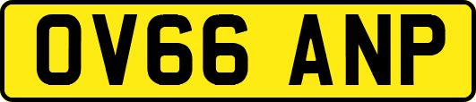 OV66ANP