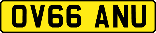 OV66ANU