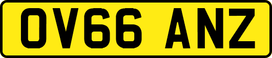 OV66ANZ