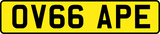 OV66APE