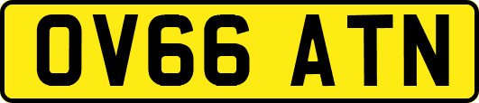 OV66ATN