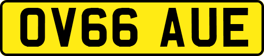 OV66AUE