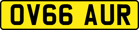 OV66AUR