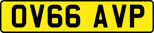 OV66AVP