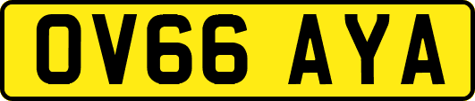OV66AYA