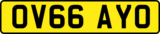 OV66AYO