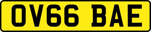 OV66BAE