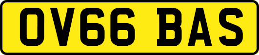 OV66BAS