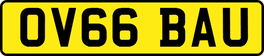 OV66BAU