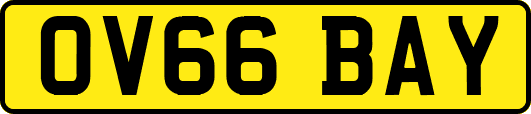 OV66BAY