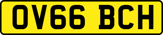 OV66BCH
