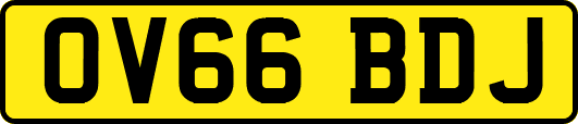 OV66BDJ