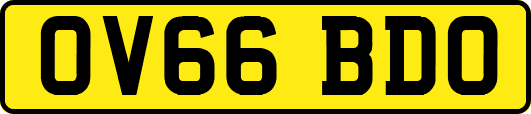 OV66BDO