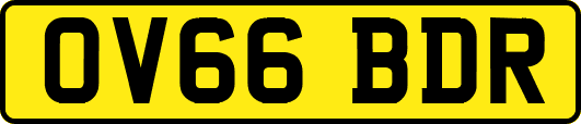 OV66BDR