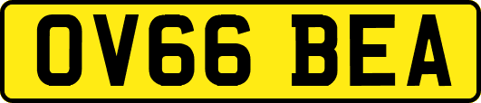 OV66BEA