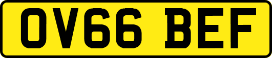 OV66BEF