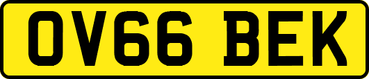 OV66BEK