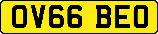 OV66BEO