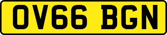 OV66BGN