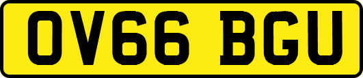 OV66BGU
