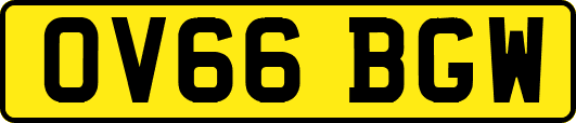 OV66BGW