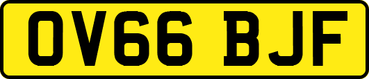 OV66BJF